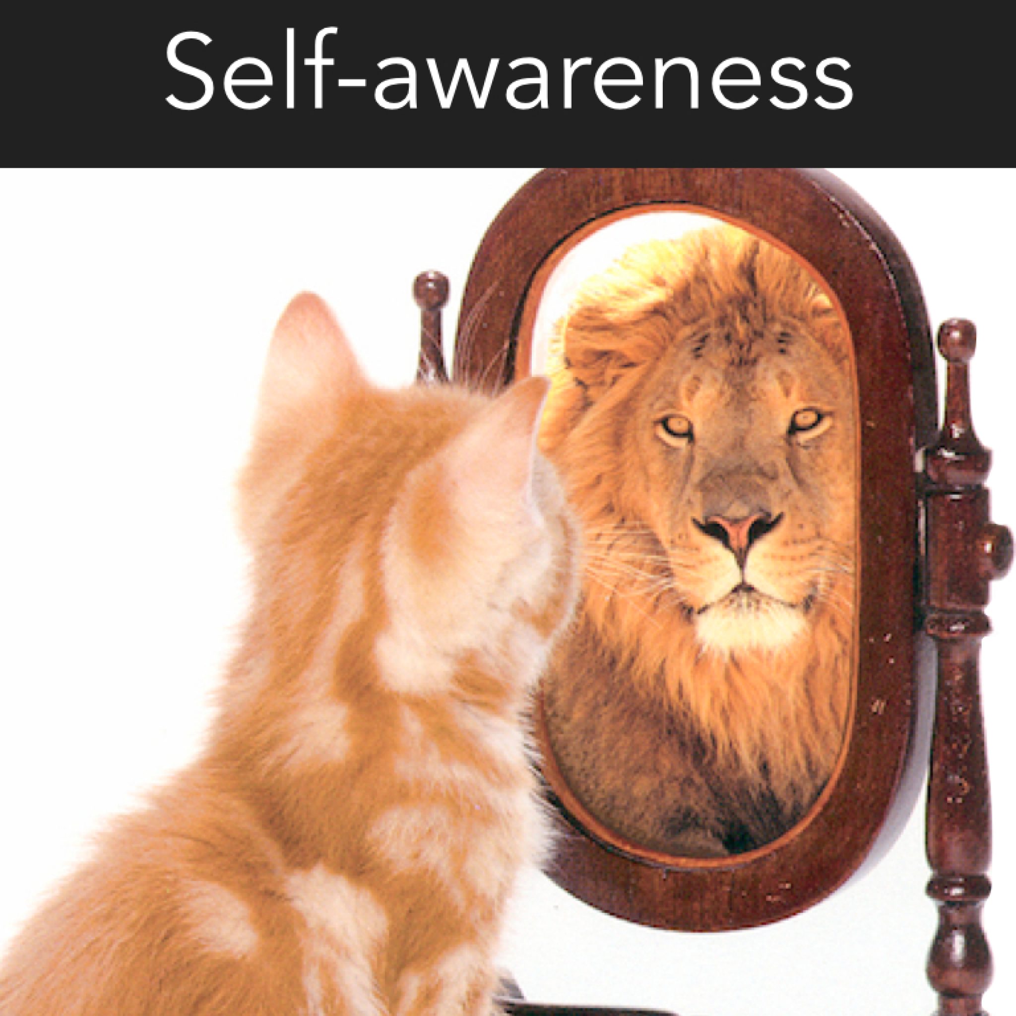 Self Awareness The Key To Unlocking Everything Stephen Pitcher